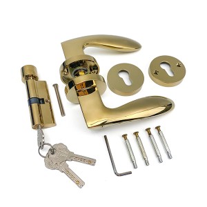 DS-5815-39 Guld PVD dörrhandtag