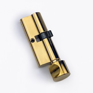 DS-C70-Z1 Gold PVD lock cartridge