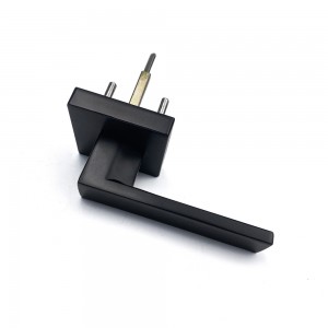 DS-Z100 Black Door handle (Access Door)