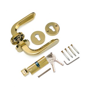 DS-5815-35 Gagang pintu PVD emas