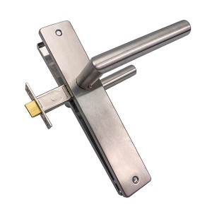 DS-CM81-103 Door handle
