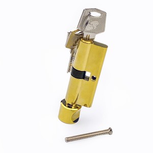 DS-C70-Z1 Gold PVD lock cartridge