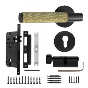 DS-B100 elegant black with elegant gold knurled door handle