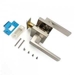 DS-Z100 Nickel brushed door handle (Access door)