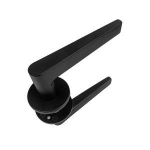DS-FL05 Yahei door handle
