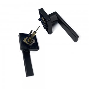 DS-Z100 Black Door handle (Access Door)
