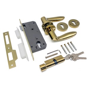 DS-5815-39 Guld PVD dörrhandtag