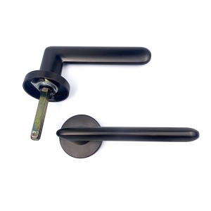 DS-R6388-AE Dörrhandtag i djupgrått