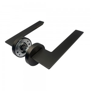 DS-A08-227 Steel gray door handle
