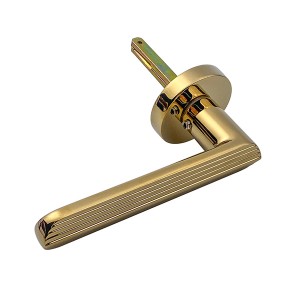 DS-810-79 Gold PVD door handle