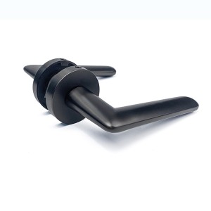 DS-R6388-AE Dörrhandtag i djupgrått