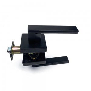DS-Z100 Black Door handle (Access Door)