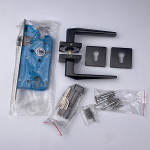 DS-Z55915Black Nickel