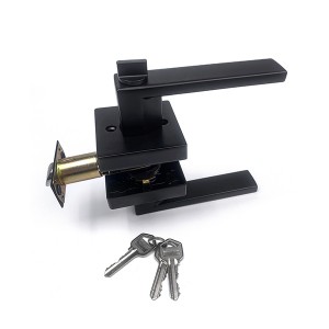 DS-Z100 Black Door handle (Entrance door)