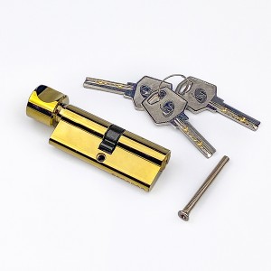 DS-C70-Z1 Gold PVD lock cartridge