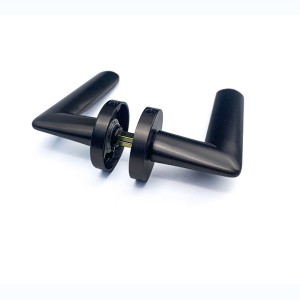DS-R6388-AE Dörrhandtag i djupgrått