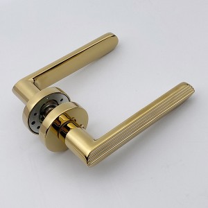 DS-810-79 Gold PVD door handle