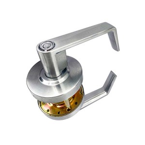 DS-8572SC Privacy door handle
